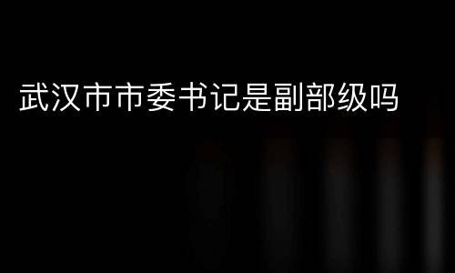 武汉市市委书记是副部级吗