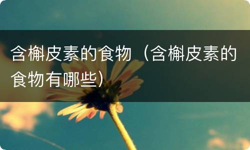 含槲皮素的食物（含槲皮素的食物有哪些）
