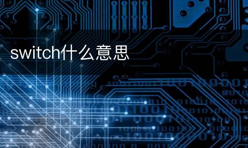 switch什么意思