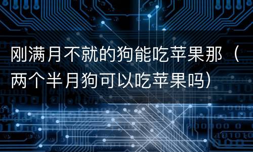 刚满月不就的狗能吃苹果那（两个半月狗可以吃苹果吗）