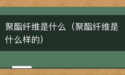 聚酯纤维是什么（聚酯纤维是什么样的）
