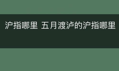 沪指哪里 五月渡泸的沪指哪里