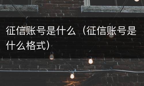 征信账号是什么（征信账号是什么格式）