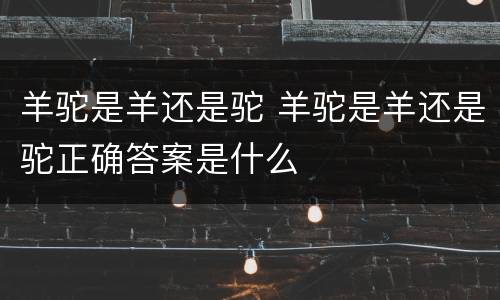 羊驼是羊还是驼 羊驼是羊还是驼正确答案是什么