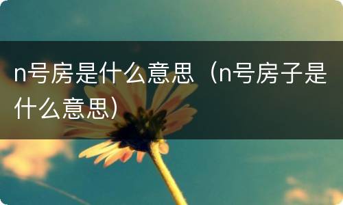 n号房是什么意思（n号房子是什么意思）