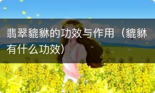 翡翠貔貅的功效与作用（貔貅有什么功效）