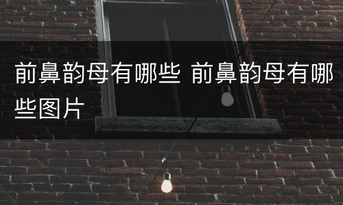 前鼻韵母有哪些 前鼻韵母有哪些图片