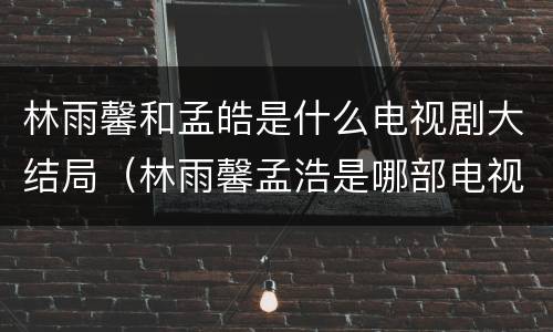 林雨馨和孟皓是什么电视剧大结局（林雨馨孟浩是哪部电视剧）