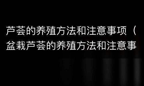 芦荟的养殖方法和注意事项（盆栽芦荟的养殖方法和注意事项）