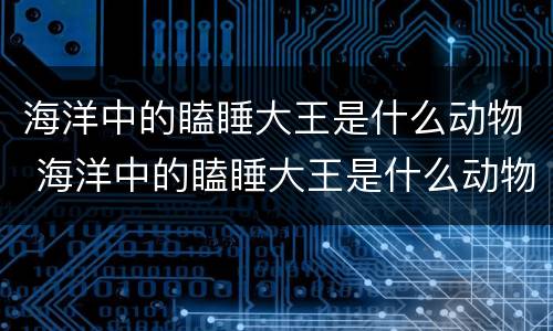 海洋中的瞌睡大王是什么动物 海洋中的瞌睡大王是什么动物图片