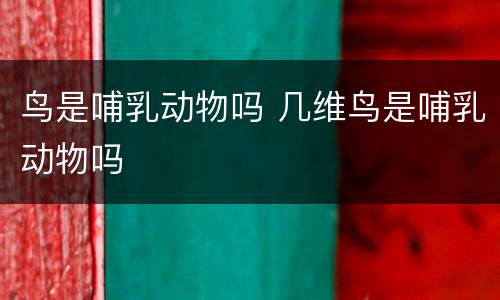 鸟是哺乳动物吗 几维鸟是哺乳动物吗