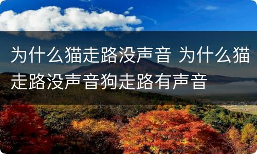 为什么猫走路没声音 为什么猫走路没声音狗走路有声音