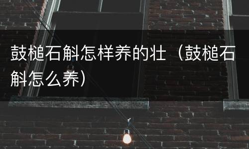 鼓槌石斛怎样养的壮（鼓槌石斛怎么养）