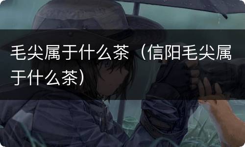 毛尖属于什么茶（信阳毛尖属于什么茶）