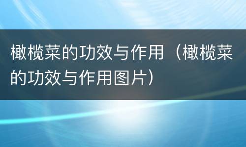 橄榄菜的功效与作用（橄榄菜的功效与作用图片）