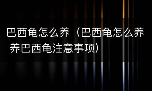 巴西龟怎么养（巴西龟怎么养 养巴西龟注意事项）