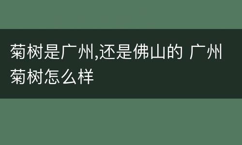 菊树是广州,还是佛山的 广州菊树怎么样