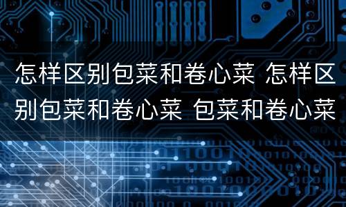 怎样区别包菜和卷心菜 怎样区别包菜和卷心菜 包菜和卷心菜有什么区别