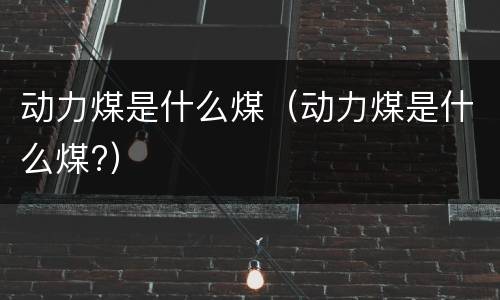 动力煤是什么煤(动力煤是什么煤?)