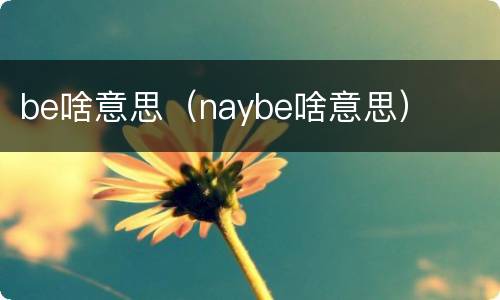 be啥意思（naybe啥意思）