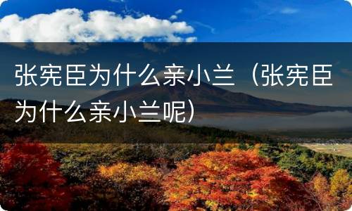 张宪臣为什么亲小兰（张宪臣为什么亲小兰呢）