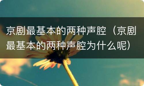 京剧最基本的两种声腔（京剧最基本的两种声腔为什么呢）