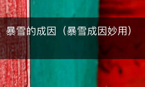 暴雪的成因（暴雪成因妙用）