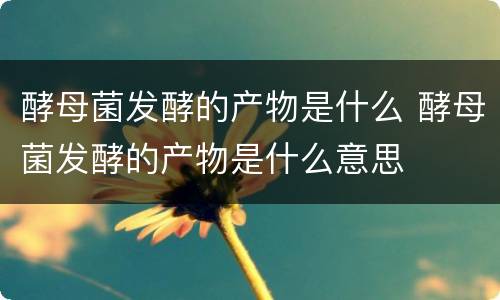 酵母菌发酵的产物是什么 酵母菌发酵的产物是什么意思