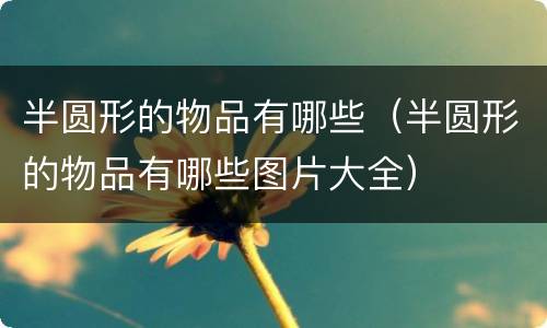 半圆形的物品有哪些（半圆形的物品有哪些图片大全）