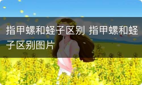 指甲螺和蛏子区别 指甲螺和蛏子区别图片