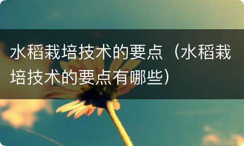 水稻栽培技术的要点（水稻栽培技术的要点有哪些）
