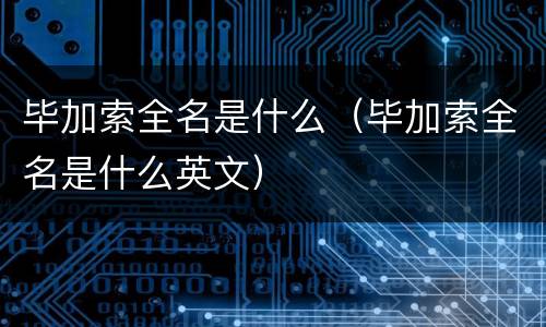 毕加索全名是什么（毕加索全名是什么英文）