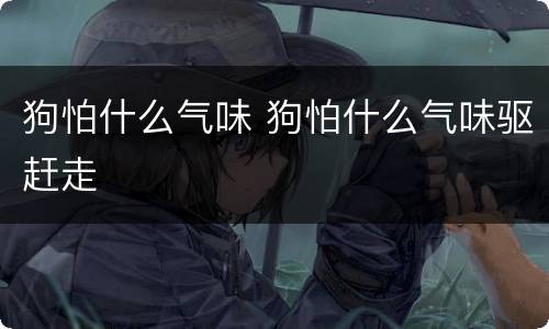 狗怕什么气味 狗怕什么气味驱赶走