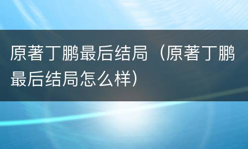 原著丁鹏最后结局（原著丁鹏最后结局怎么样）