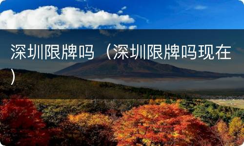 深圳限牌吗（深圳限牌吗现在）