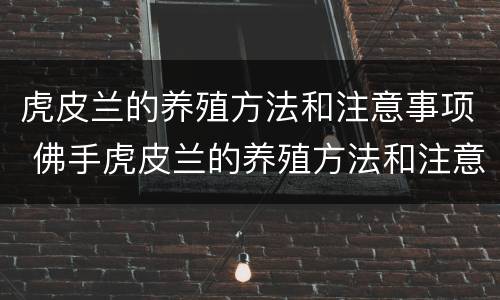 虎皮兰的养殖方法和注意事项 佛手虎皮兰的养殖方法和注意事项