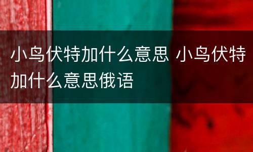 小鸟伏特加什么意思 小鸟伏特加什么意思俄语