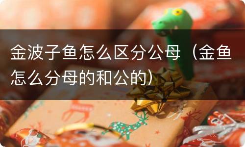 金波子鱼怎么区分公母（金鱼怎么分母的和公的）
