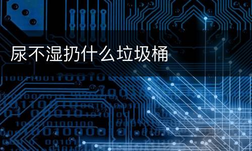 尿不湿扔什么垃圾桶