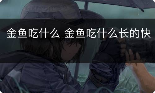 金鱼吃什么 金鱼吃什么长的快