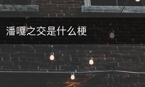 潘嘎之交是什么梗