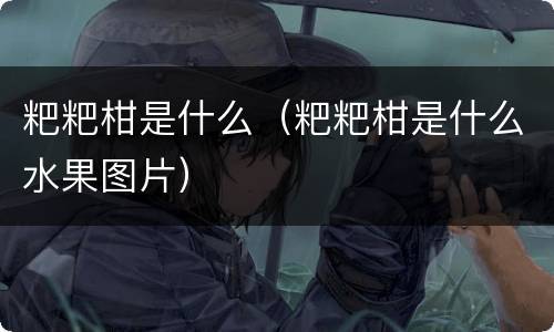 粑粑柑是什么（粑粑柑是什么水果图片）