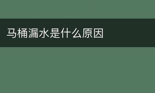 马桶漏水是什么原因