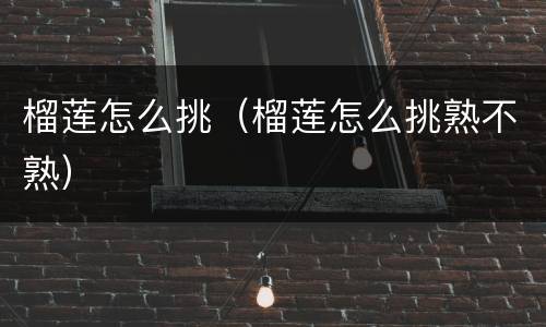 榴莲怎么挑（榴莲怎么挑熟不熟）