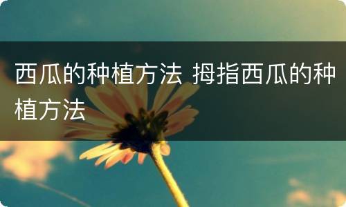 西瓜的种植方法 拇指西瓜的种植方法