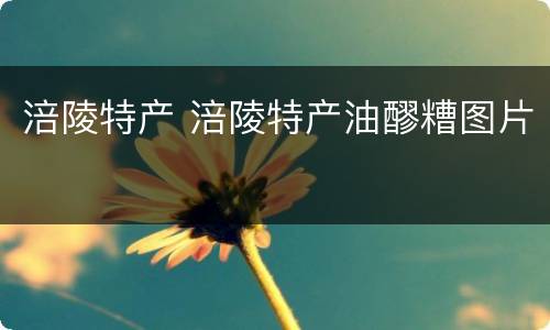 涪陵特产 涪陵特产油醪糟图片