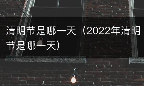 清明节是哪一天（2022年清明节是哪一天）