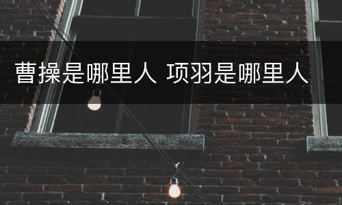 曹操是哪里人 项羽是哪里人