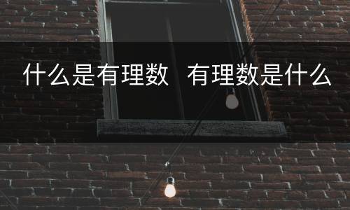  什么是有理数  有理数是什么