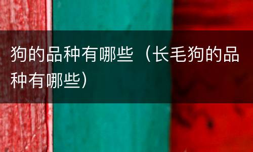 狗的品种有哪些（长毛狗的品种有哪些）